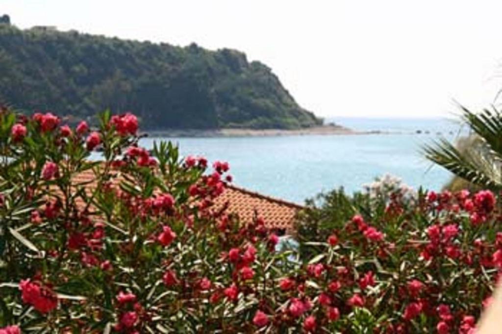Baia Tropea Resort Parghelia Εξωτερικό φωτογραφία